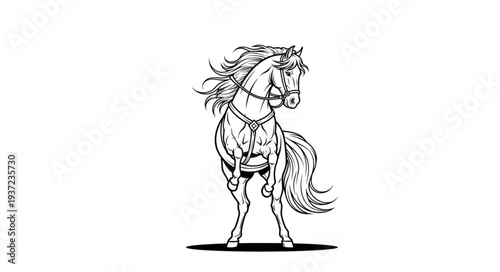 Elegant horse illustration in black and white, showcasing detailed artistic design.