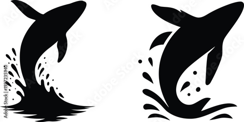 Two dolphins jumping out of the water in black silhouette