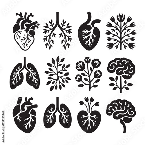 Human organs heart lungs brain with floral elements illustration vector