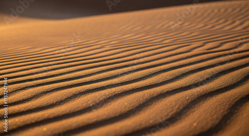 Golden sand dune with intricate wavy patterns at sunset