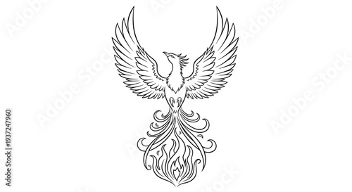 Majestic Phoenix mythical bird line art illustration with spread wings, symbolizing rebirth, strength, and eternity in elegant monochrome drawing.