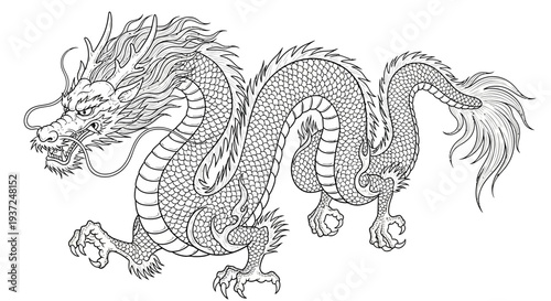 Detailed traditional Chinese dragon line art illustration, mythical creature outline drawing, oriental fantasy animal graphic