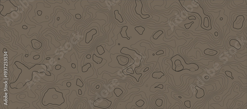 Topographic Contour Map Pattern Background and Elevation Detail terrain path mapping modern cartography vector illustration.