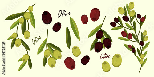 Seamless olive pattern with olives and leaves, mediterranean food background