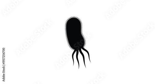 A dark spiky bacterium form against a white background silhouette
