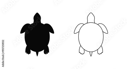 Two turtle depictions a solid black form and a line drawing silhouette