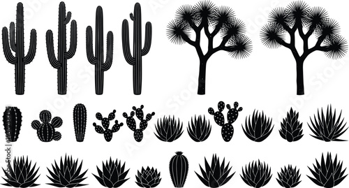 Cactus and desert plant silhouettes collection isolated on white background succulent agave yucca botanical vector set for nature design