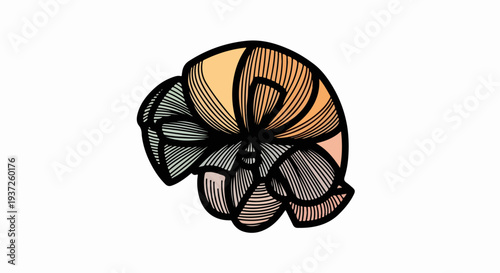 Spiral shell style abstract organic illustration
