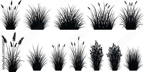 Wild grass and ornamental bush silhouettes collection meadow plants foliage botanical nature garden vegetation elements vector isolated illustration set