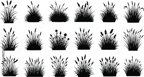 Wild grass and reed silhouettes collection isolated on white botanical meadow plants vector set for nature design landscaping elements bundle
