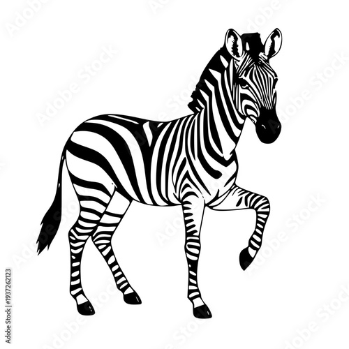 Zebra Standing Vector Illustration - Minimalist Black and White Animal Line Art