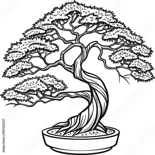 Illustration Vectorielle en Trait Minimaliste d'un Bonsaï dans un Pot