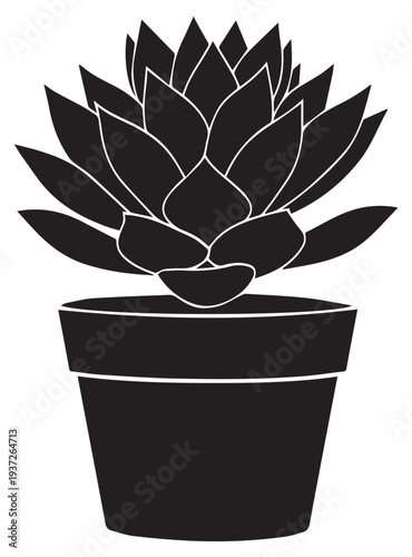 Potted plant with succulent silhouette potted black vector,,,55