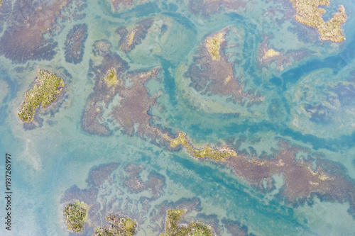 Marsh in Santona bay, Laredo, Cantabria, Spain