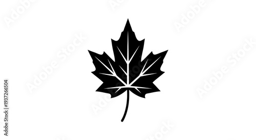 Canadian Maple Leaf Symbol Black and White Illustration Vector Graphic