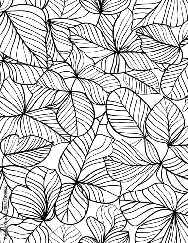Zentangle Coloring Page, abstract black and white art, doodle coloring page, meditation Coloring Page, adult coloring page
