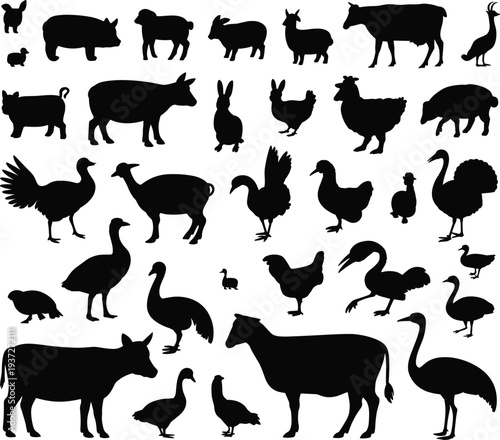 Farm animal silhouette collection, cow pig sheep goat icons, poultry vector set, agriculture outline illustration, domesticated animals design set