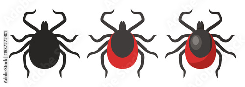 Ticks icon set. Set of vector icons isolated on white background.