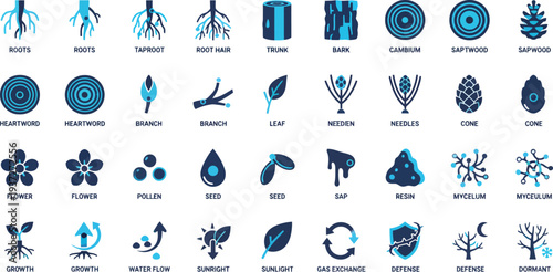 Illustrative icons showcasing various tree structures and biological processes in a minimalist vector style