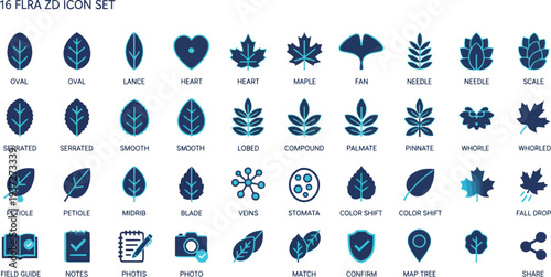 Set of 16 vector leaf icons showcasing various leaf shapes and characteristics for ecological designs