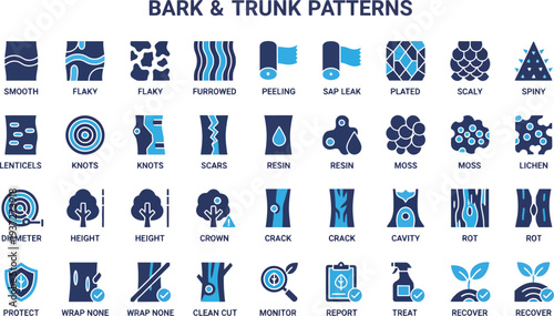 Illustration of Various Bark and Trunk Patterns for Tree Identification and Care