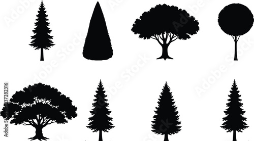 Collection of diverse tree silhouettes showing coniferous pine, deciduous broad canopy, and round shapes for botanical study, landscape design, and educational illustration purposes