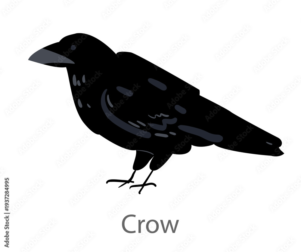 Naklejka premium Flat vector illustration of a crow in side view. Black corvid bird isolated on a white background.