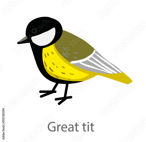 Flat vector illustration of a great tit in side view. Small colorful songbird isolated on a white background suitable for educational and design use.
