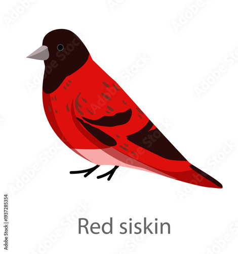 Flat vector illustration of a red siskin in side view. Small finch bird isolated on a white background.