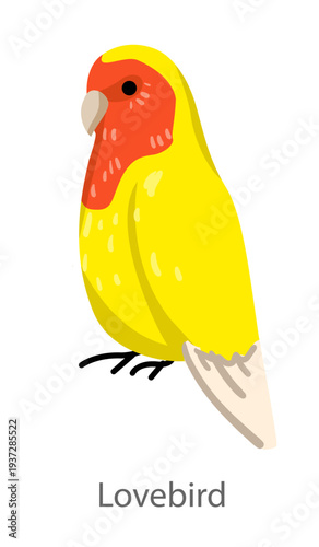 Flat vector illustration of a yellow lovebird with orange face in side view. Small colorful parrot isolated on a white background.