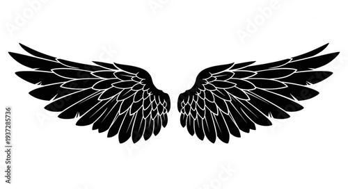 Black Angel Wings Illustration Isolated On White Background.