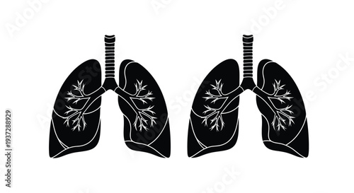 Anatomical illustration of human lungs in a stark black and white style