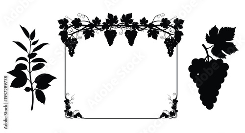 Elegant black silhouette of grape vines forming a decorative frame