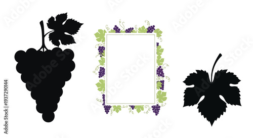 Elegant grape vine frame with bunches of dark and light grapes