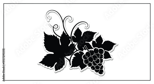 Black and white illustration of grape vine with leaves and fruit