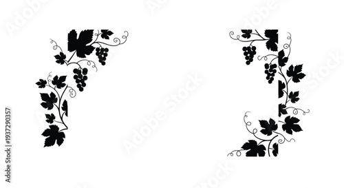 Elegant black grapevine and leaf design framing a blank space