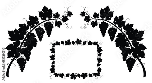 Elegant black grapevine and leaves framing a rectangular space