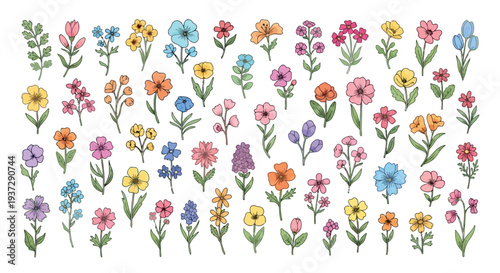 An expansive and vibrant collection of hand-drawn colored flowers and diverse leaves, showcasing a wide botanical variety.