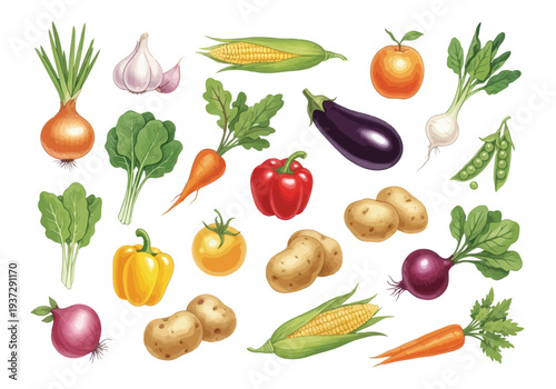 A vibrant assortment of freshly harvested vegetables including bell peppers, corn, carrots, potatoes, onions, and eggplants are scattered across a clean white background.