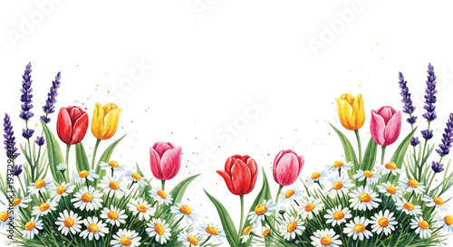 A charming watercolor spring border showcasing colorful tulips, white daisies, and purple lavender against a clean white background.