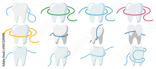 FLOSSING - String of dental floss wrapping around a clean tooth  Flat Vector Illustration on Transparent Background