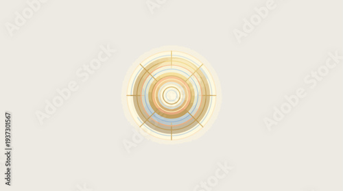 A circular target graphic with concentric circles and crosshairs viewed from directly above