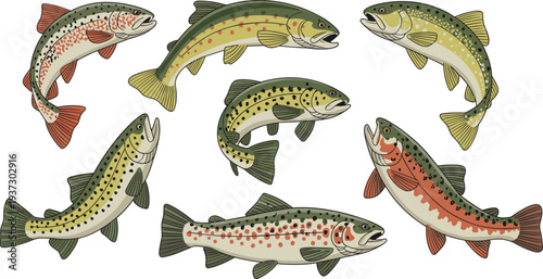 Trout fish illustration collection isolated on light background, detailed freshwater fish set for fishing design, wildlife art, aquatic animal poster, and nature theme