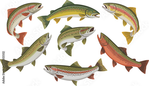 Trout fish illustration set isolated on light background, detailed freshwater fish collection for fishing design, wildlife art, aquatic animal poster, and nature theme