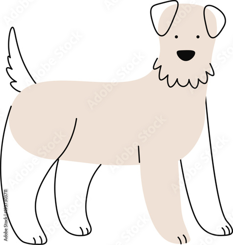 Schnauzer breed doodle. Dog standing line drawing