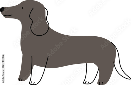 Dachshund hand drawn icon. Funny dog doodle
