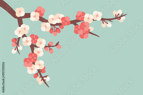Beautiful blooming cherry blossom branch with delicate flowers, spring blossom concept