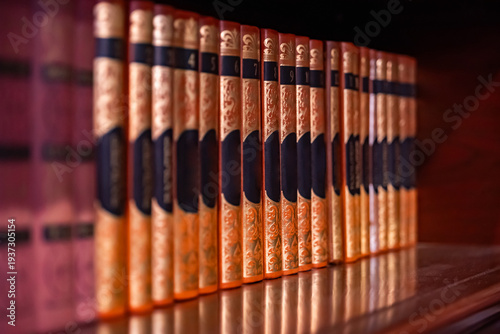 Row of classic books with decorative gold spines on a dark wooden shelf