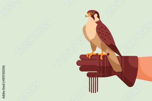 Person holding falcon on gloved hand in stunning illustration, falconry tradition concept