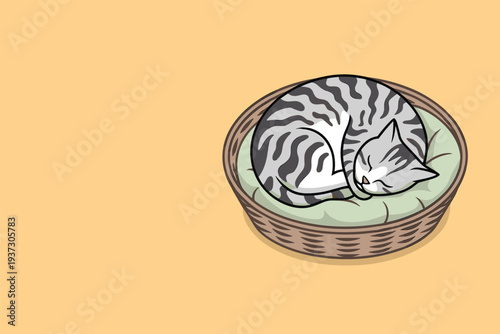 Adorable gray tabby kitten curled up sleeping in cozy wicker basket, cute pet concept